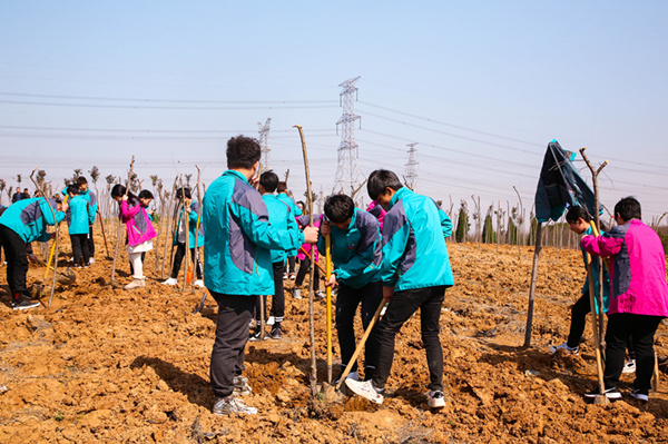 “攜手植樹(shù)，共創(chuàng)藍(lán)天”丨南京新華師生共筑新華育才林