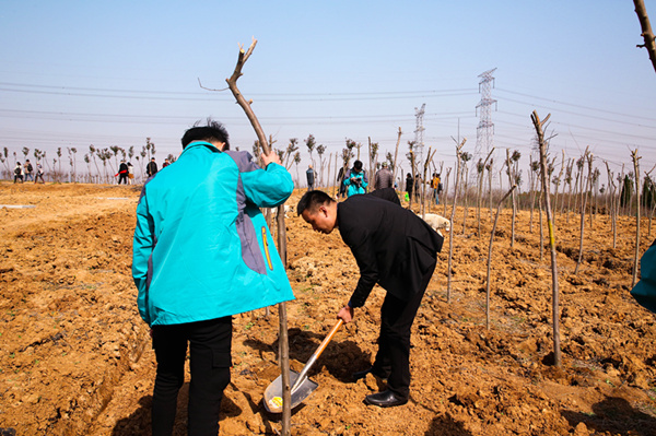 “攜手植樹(shù)，共創(chuàng)藍(lán)天”丨南京新華師生共筑新華育才林